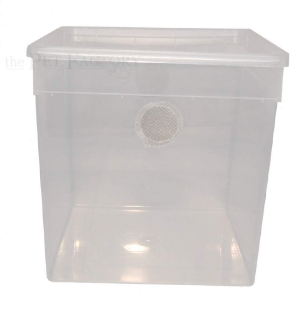 BraPlast Dose 5,8l